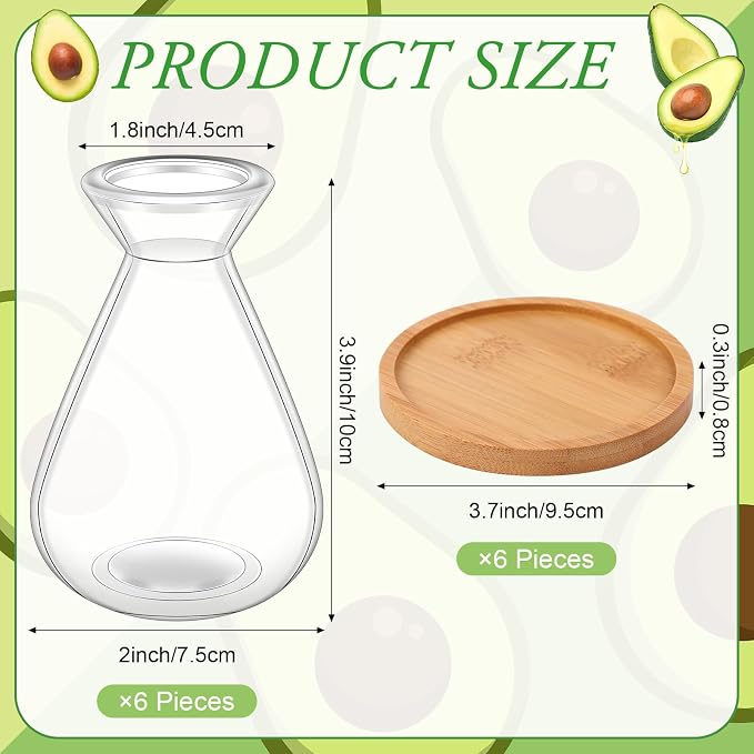 6Pcs Small Avocado Seed Starter Vase with Bamboo Base Avocado Tree Growing Vase Kit Avocado Seed Sprout Starter Vase Planter Pot Easy Seed Gift Plant Glass for Acorn Garlic Vines Root Seeds