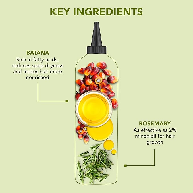 Botanic Hearth Hair Oil for Hair Growth & Hair Treatment Oils | Strengthening Dry, Frizzy, Damaged Hair & Scalp Treatment | Rosemary Batana Hair Oil – 6.7 Fl Oz (2 Pack)