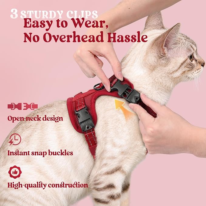 rabbitgoo Cat Harness and Leash, Easy-on with Neck Buckle, Red