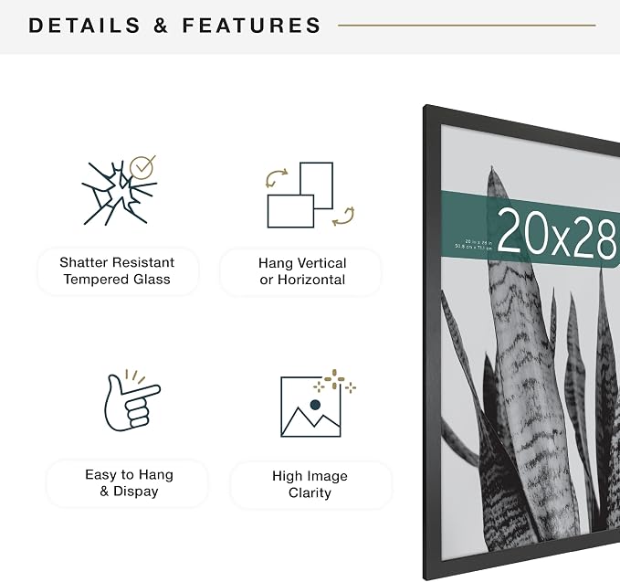 MCS Studio Gallery 20x28 Poster Frame Black Woodgrain Engineered Wood, Vertical & Horizontal Wall Hanging Large Picture Frame for Photos, Posters & Art Prints (2-Pack)