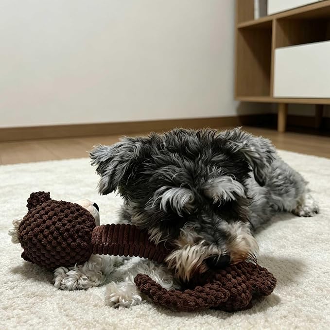 Squeaky Plush Dog Toys, Cute Animal Pet Toy for Small Dogs, Monkey