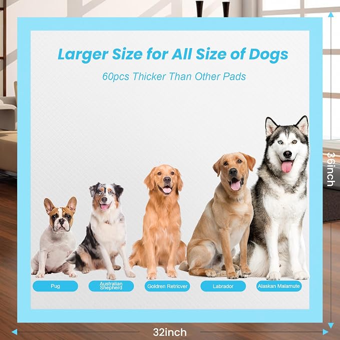 Puppy Pads for Dogs 32"x36" 60 Count, Thicken Disposable Pet Pee Pads | Extra Large & Non-Slip, Leak-Proof Incontinence Underpads, Super Absorbent & Quick-Dry, Jumbo Potty Pad for Cats Rabbits