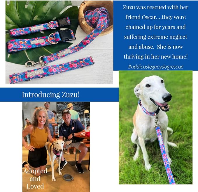 Lucky Love Dog Martingale Collar for Large Dogs No Slip Cute – Zuzu, Large