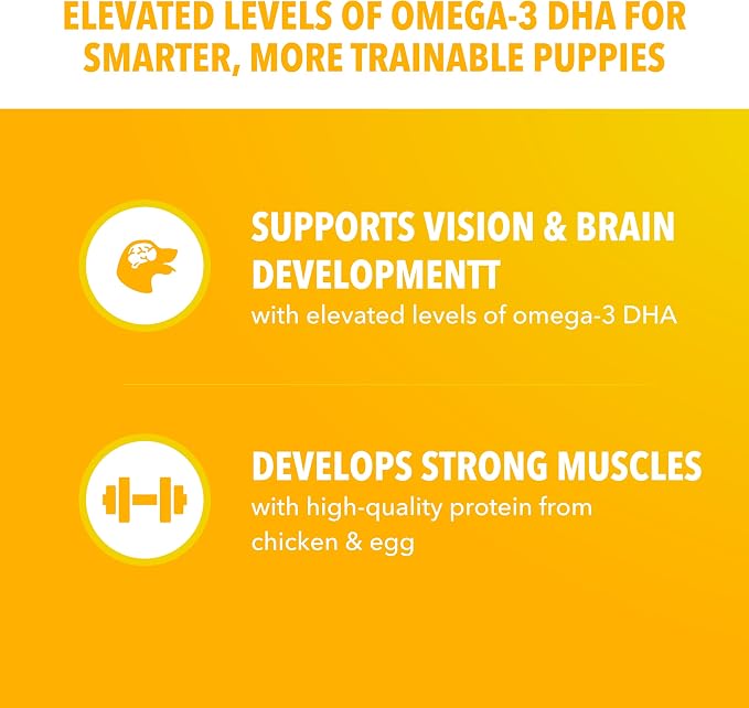 IAMS Proactive Health Large Breed Puppy Dry Dog Food, Chicken, 38.5 lb | Real chicken #1 ingredient, Omega-3 DHA for cognitive & vision development, optimal calcium for bones & joints, Vitamin E