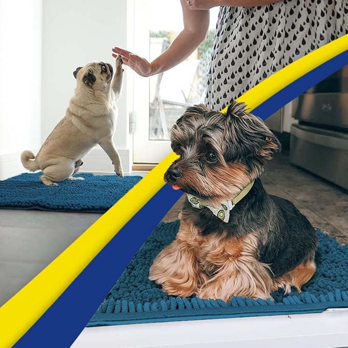 Muddy Mat® | Super Water Absorbent Door Mat Indoor, Microfiber Quick Dry Chenille Entryway Rug,Slip Resistant Front Door Mat,Indoor Mats for Entryway,Machine Washable Pet Rug, Atlantic Blue 26" x 42"