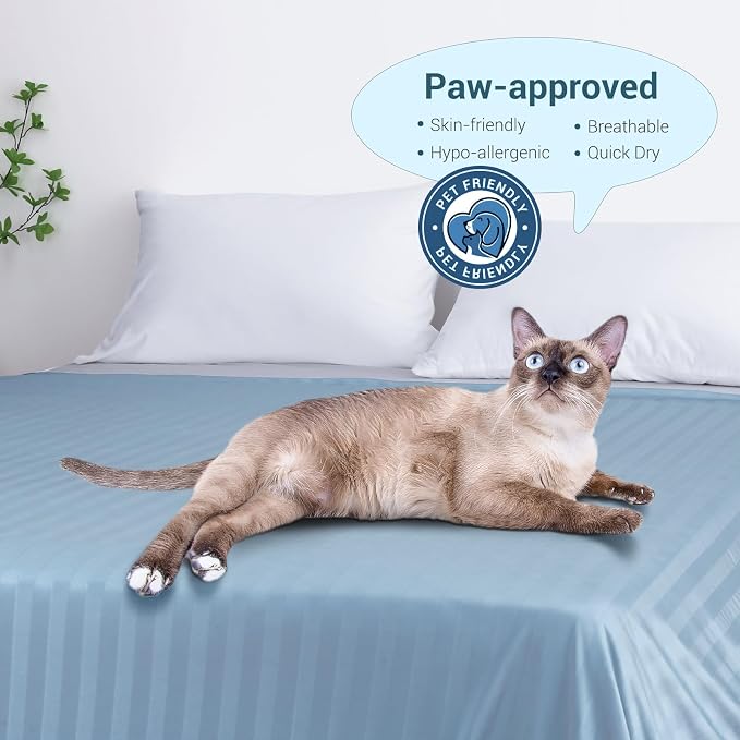Elegear Double-Sided Cooling Blanket for Hot Sleepers, Twin, Arc-Chill 3.0 | Q-Max>0.5 Cooling Fabric, Absorbs Heat to Keep Body Cool, Breathable Summer Blankets for Night Sweats & Menopause, 59"x79"