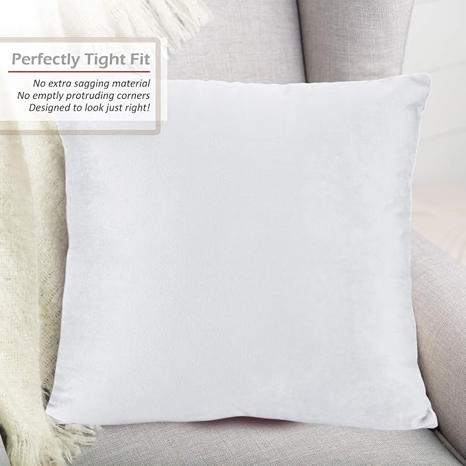 Nestl Throw Pillow Inserts Pack of 2 with Velvet Soft Solid Decorative Square Throw Pillow Covers Set for Sofa Couch Car Bedroom, 20X20 Throw Pillows Inserts with 18x18 Washable Cushion Covers, White