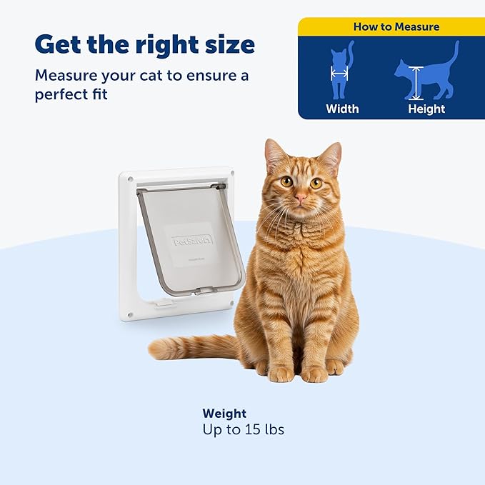 PetSafe Interior Cat Door, 2-Way Lock, White, Cats up to 15 lb | High-Impact Frame with Transparent Flap, Fits Interior Doors, Hardware and Template Included