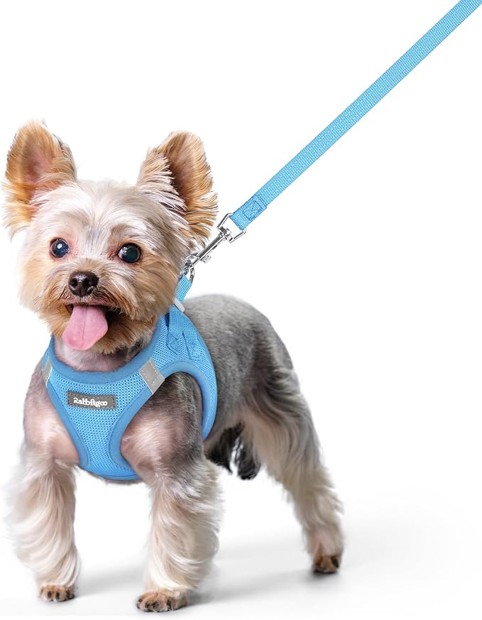 rabbitgoo Dog Harness Small Sized and Leash Set, Step-in Puppy Pet Vest | Light, Soft, Breathable Air Mesh, Easy on and Remove with Hook & Loop, Secure Reflective for Walking, Blue XS