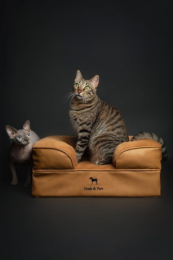 NOAH & PAW Small Dog Bed, 20x15x8 Inch, Cat Bed for Indoor Cats, Orthopedic Eggshell Memory Foam Infused with Cooling Gel, Water Resistant Inner Cover Machine Washable (Faux Leather)