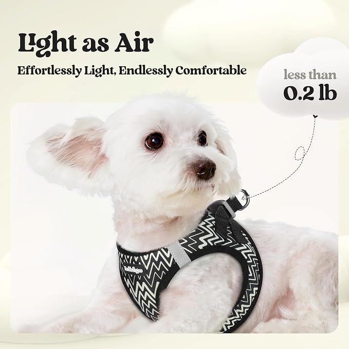 rabbitgoo Dog Harness Small Sized and Leash Set, Step-in Puppy Pet Vest | Light, Soft, Breathable Air Mesh, Easy on and Remove with Hook & Loop, Secure Reflective for Walking, Black Zigzag XXS