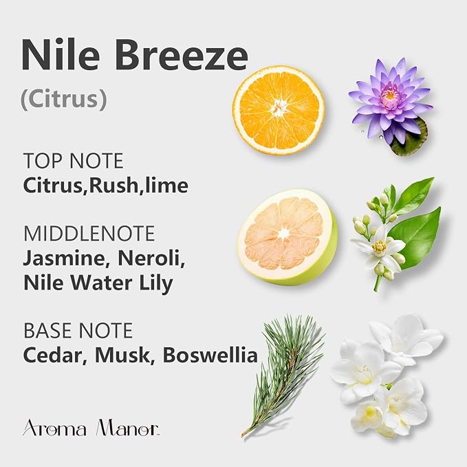 Aroma Essential Oil Blend - Nile Breeze - Hotel Fragrance Oil for Aromatherapy Diffuser Machine, Citrus Jasmine & Cedarwood, Elevate Large Room with Air Fresheners - 5.3fl oz