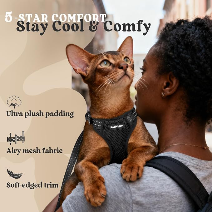 rabbitgoo Cat Harness and Leash, Easy-on with Neck Buckle, Black