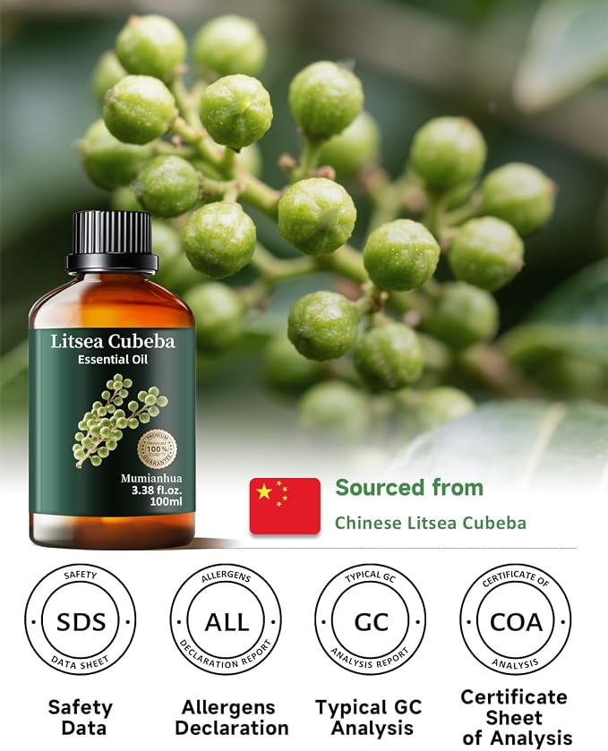 Litsea Cubeba Essential Oil, Fresh Scent, Diffuser, Skin & DIY, 3.38 Fl Oz | Mumianhua May Chang Oil, Bright, Lemony Aroma. For Diffuser, Oily Skin, Hair, DIY Spray & Candle Making