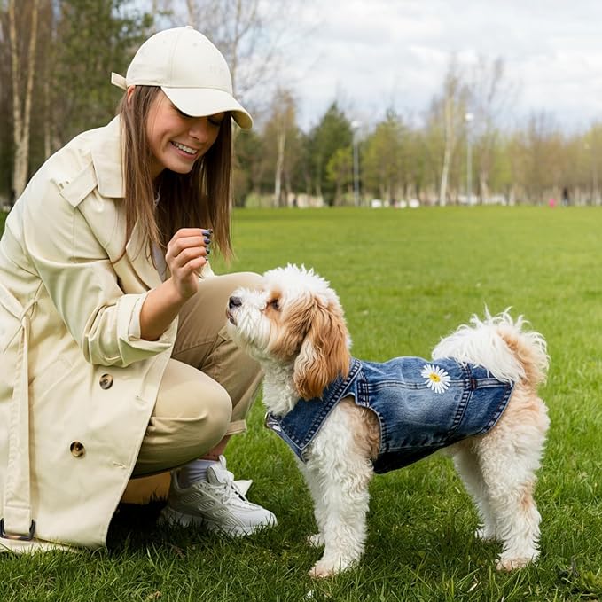 Dog Denim Jacket with Daisy Embroidery for Small Dogs, M, Chest 13-14 in | Ripped vintage jean vest for puppies, Chihuahuas and Pugs, cotton-blend outfits for spring summer fall festival and daily