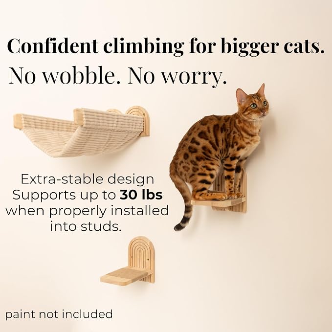 Wall Mounted Cat Hammock Bed with Steps - Wooden Wall Shelf for Cats - Paintable Natural Rubberwood - The Perfect Perch for Cats & Kittens