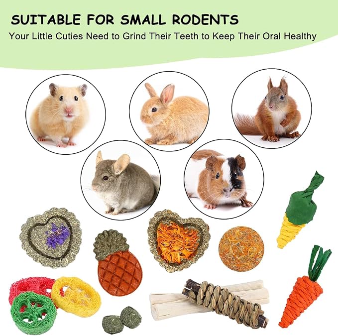 Bunny Toys, 21PCS Rabbit Chew Toys for Teeth, Guinea Pig Natural Treats