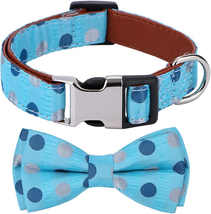 Bowtie Dog Collar Blue Polka Dots Large