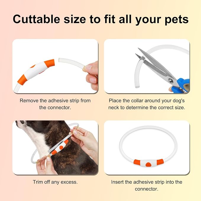 Lighted Dog Collar - Waterproof Puppy Collar Light Rechargeable, High Visibility Glowing Dog Lights for Night Walking (Orange)