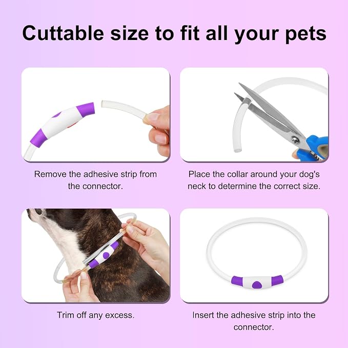 Light Up Dog Collars - Waterproof LED Dog Collar, Glow in The Dark Puppy Collar, TPU Cuttable Lighted Dog Collar for Small Medium Large Dogs (Purple)