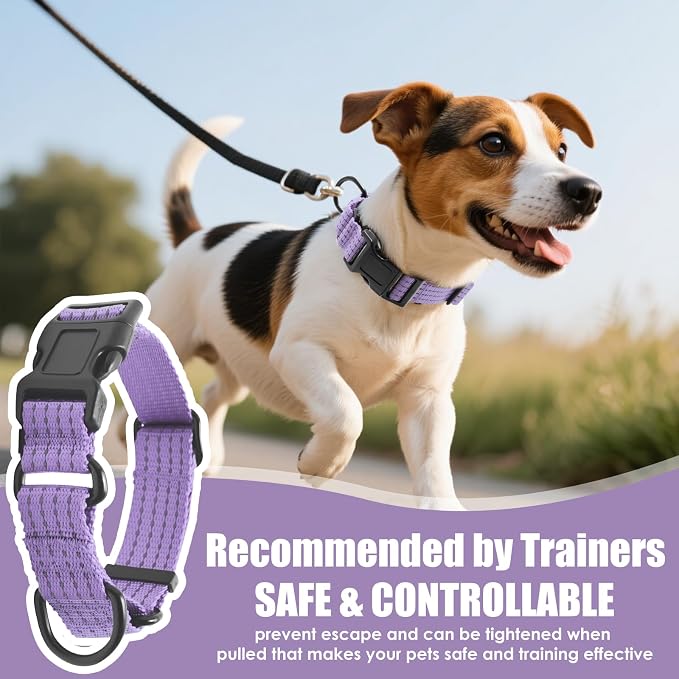 Martingale Dog Collar, Reflective No Pull with Buckle, Lavender, L