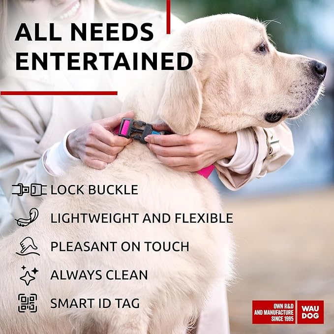 WAUDOG Waterproof Dog Collar Airtag Holder QR Tag Small Medium Large Dogs | Water and Dirt Resistant, Quick Dry QR Pet Tag Adjustable Durable Comfort for Male and Female Dogs Outdoor Walking Training