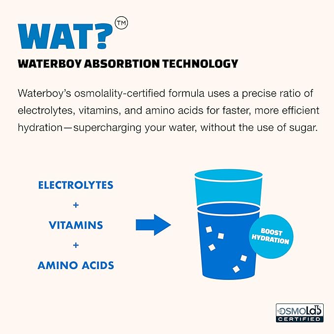 Waterboy Weekend Recovery Variety | 3,200mg Electrolyte Powder Packets | Ginger + L-Theanine + Vitamins | No Sugar, All Natural, Gluten Free | 24 Drink Stick Mixes (Variety Pack)