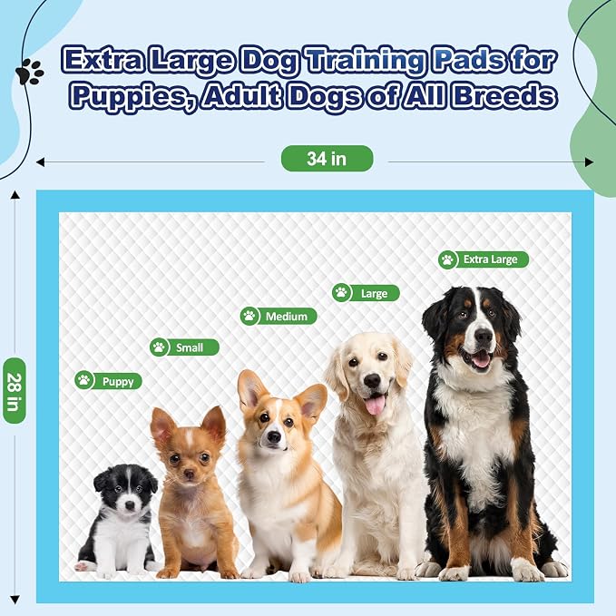 Puppy Pads 50 Pack, 34"x28" Extra Large Dog Pee Pads Thicker Disposable Dog Training Pads Super Absorbent & Leak-Proof, xl 6-Layer Quick-Dry potty Training Pads for doggie, Cats, Rabbits, Pet Supplies