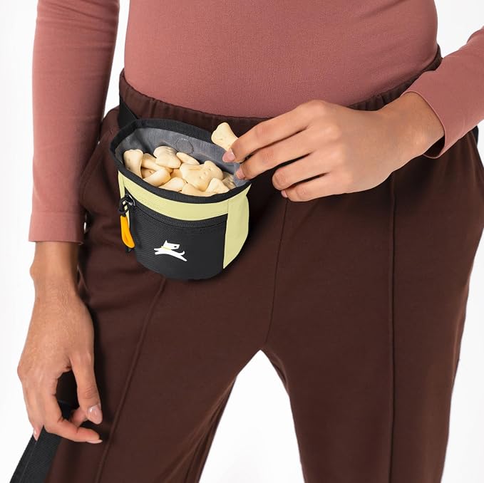 OllyDog, Goodie Treat Bag, Dog Treat Training Pouch | Magnetic Closure | 3 Ways to Wear | Hands-Free Waist Belt | Water-Resistant Recycled Vegan Fabric (Sol)