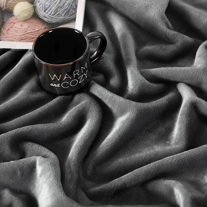 TASTHROW Grey Throw Blanket 60x80 Inches | Soft Plush Cozy Fleece Flannel Throw Blanket, Lightweight Warm Throws for Bed, Couch, Bedroom and Living Room, All Seasons