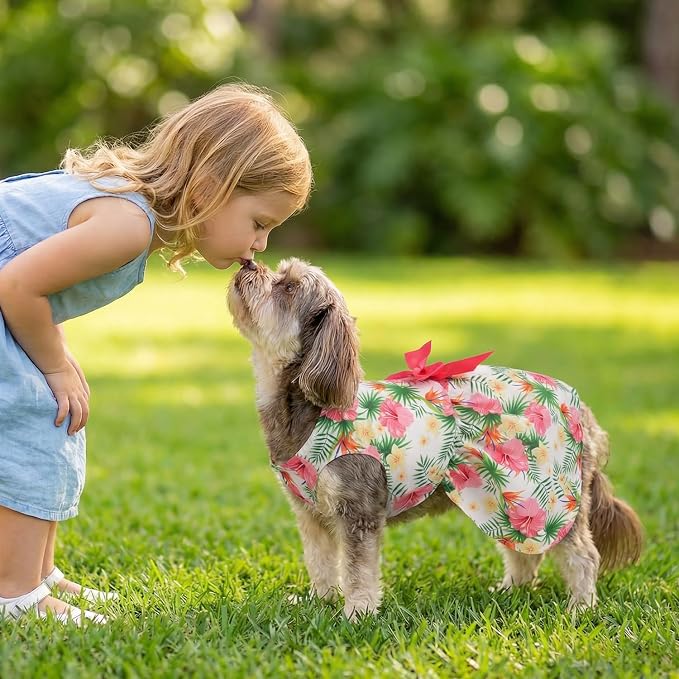 6 Pack Girl Dog Clothes Floral Summer Dog Dress Tropical Floral Princess Bowknot Pet Dresses for Small Dogs Girl Clothes Cute Outfits for Boys Girls Pets Cats Dogs
