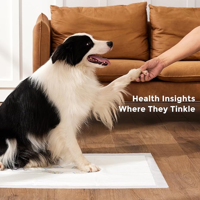 ZOMISIA Health Monitoring Puppy Pee Pad with Color Indicators, 22"x22" 5 Counts - 6-Parameter Urine Test, Disposable Dog Potty Training Pads , Odor-Control, Super Absorbent & Leak-Proof