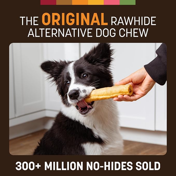 Earth Animal No Hide Dog Chews - Rawhide Free Medium Rolls 6 Count Chicken | Medium Chicken Flavored Natural Rawhide Free Long Lasting Dog Chews - Treats for Medium Dogs and Aggressive Chewers