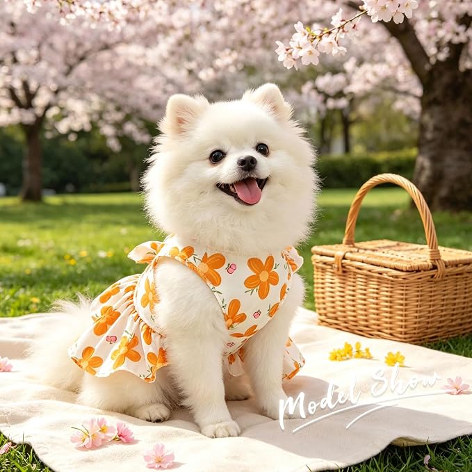 2Pack Small Dog Harness Dress for Girl Puppy Cat Dress with Flower Pattern Bow Adjustable Breathable Lining Back D-Ring Cute Outfits for Small Puppy, Cat Dresses for Cats Only or Dog Girl Clothes