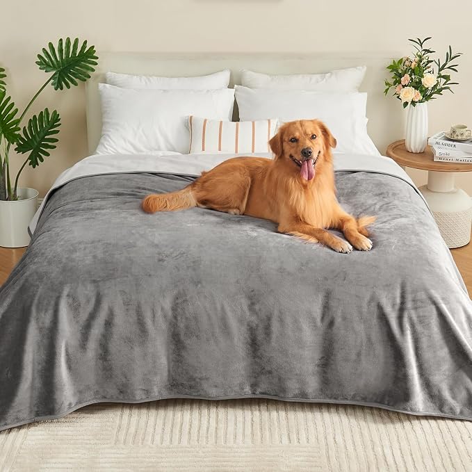 Waterproof Blanket Bed Cover 60"x80" for Adults or Pets, Grey | Soft Pet Blanket for Dogs Cats, Reversible Leakproof Blanket for Bed Couch Sofa, Furniture Protector