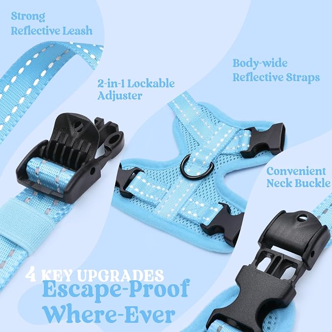 rabbitgoo Cat Harness and Leash, Easy-on with Neck Buckle, Sky Blue