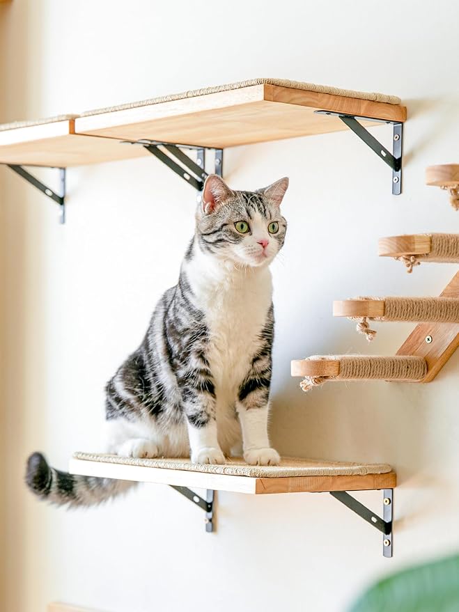 FUKUMARU Cat Wall Shelves, 17 x 10 Inch, Sisal Mat | Solid Rubber Wood Floating Shelf with Upgraded Installation, Kitten Wall Furniture for Sleeping, Playing and Scratching