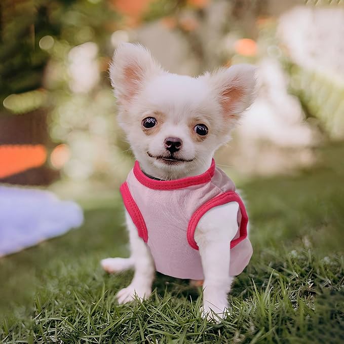 4 Pack Dog Shirt for Small Dogs Spring Summer Printed Puppy Clothes Cute Pet T Shirts Dog Clothes for Small Dogs Cats Girl (Grey+Pink+Purple,Black, Medium)