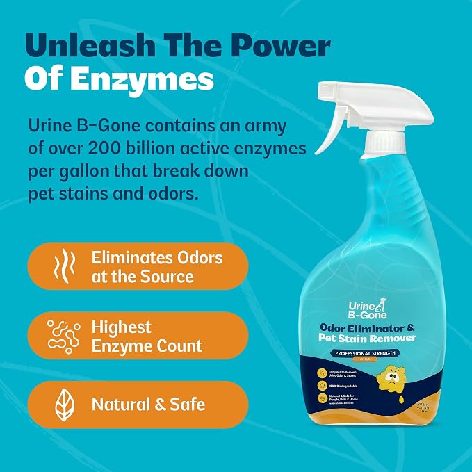 Urine B-Gone Enzyme Cleaner for Human, Cat & Dog Urine, Citrus, 32 oz | Enzyme cleaner for human, cat and dog urine on laundry, carpets and more; citrus scent, 32 fl oz.