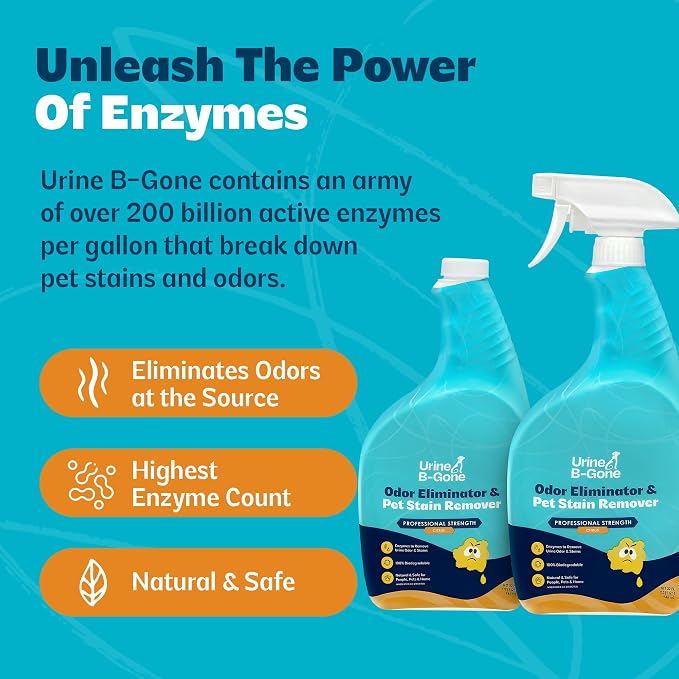 Urine B-Gone Enzyme Cleaner for Human & Pet Urine, Citrus, 32 oz, 2-Pack | Two 32 oz bottles of enzyme cleaner for human, cat and dog urine on laundry, carpets and more; citrus scent.