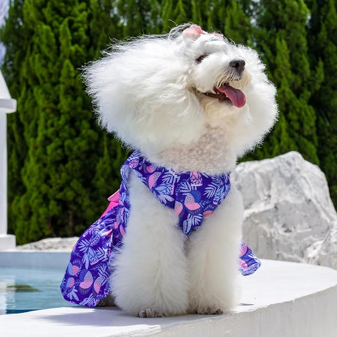CuteBone Dog Mesh Dress Puppy Sundress Pet Outfit Summer Fashion for Small Dogs Girl Cat Clothes