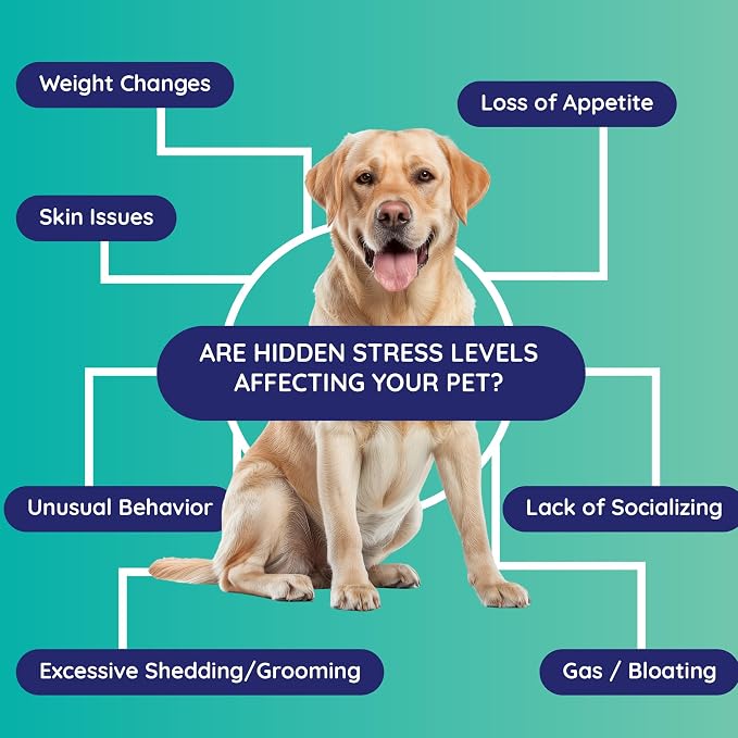 Stress Test for Dogs & Cats