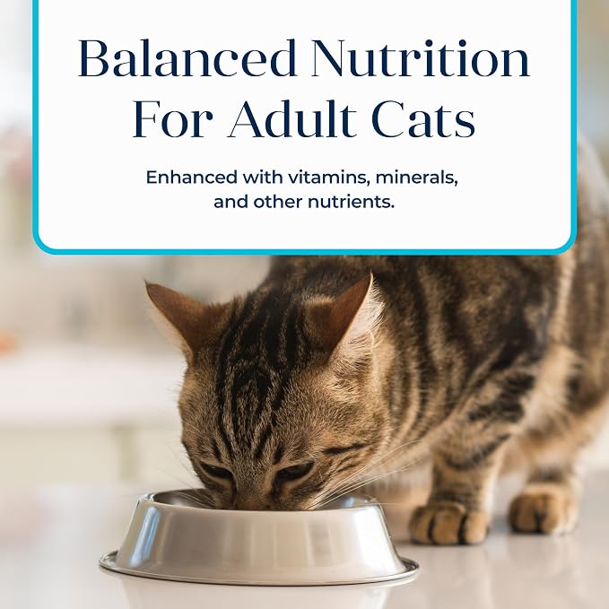 Blue Buffalo Basics Fish Adult Grain-Free Wet Cat Food, 3 oz, 24 ct | Skin & Stomach Care, Real Fish #1 Ingredient, Limited Ingredient Diet, Antioxidant-Rich LifeSource Bits, Skin & Coat Health