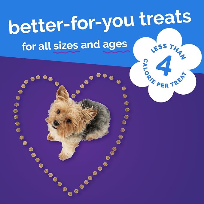 Fruitables Skinny Minis Soft & Chewy Dog Training Treats, Low Calorie Pumpkin & Berry Recipe, Bite-Sized Rewards for Puppies & Adult Dogs, No Wheat Corn or Soy, Made in USA, 20 oz
