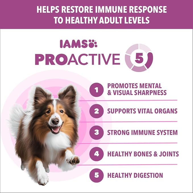 IAMS Proactive Health Healthy Aging Dry Dog Food, Chicken, 38.5 lb | Veterinarian-recommended, DHA Gold for mental & visual sharpness, Vitamin E & Beta Carotene, real chicken #1 ingredient
