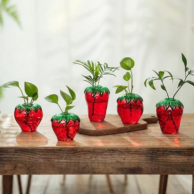 Hewory Cute Glass Strawberry Vases: 5PCS Propagation Vases for Plants | Red Strawberry Decor for Kitchen, Windowsill, Shelves, Gifts for Women, Mother, Novelty Indoor Hydroponic Flower Planter Pot
