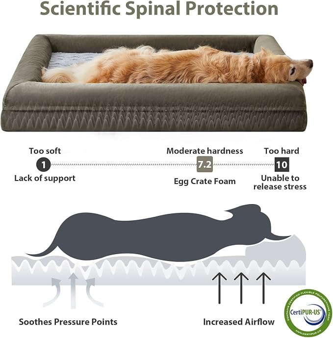 WNPETHOME XXXL Big Large Orthopedic for Senior Dog Bed Comfy Sleeping | Washable Waterproof Dog Couch with Removable Cover, Large Pet Sofa Bed with Bolster Sides for Relaxing Dark Green 53x42 Inch
