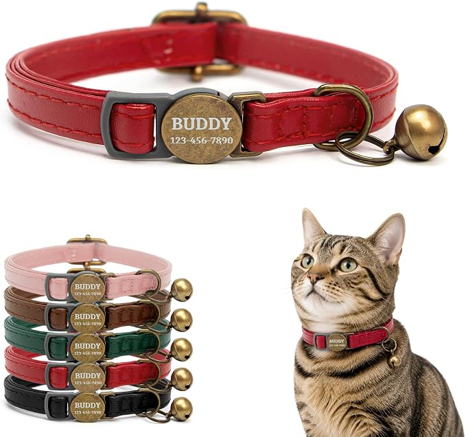 Personalized Breakaway Cat Collar with Name, Red