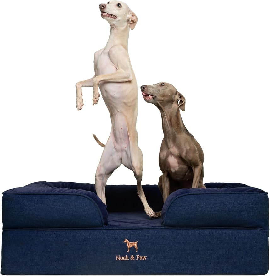 NOAH & PAW Large Dog Bed, 35x25x11 Inch, Orthopedic Dog Beds, Eggshell Memory Foam Infused with Cooling Gel, Inner Cover, Water Resistant, Machine Washable (Denim Sofa Collection)
