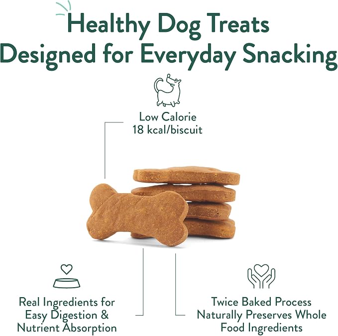Portland Pet Food Pumpkin Dog Treats, Healthy, Grain-Free Biscuits 3 Pack | Human-Grade, Limited Ingredient, Natural Low Calorie Training Treats for Small & Large Dogs, Puppy to Senior, Made in USA